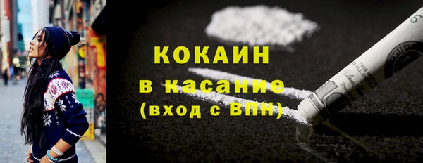 индика Волосово