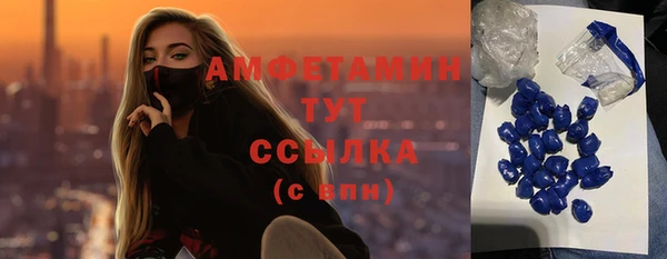 индика Волосово