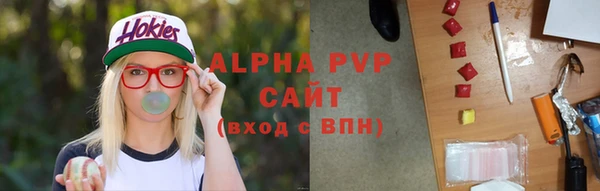 индика Волосово