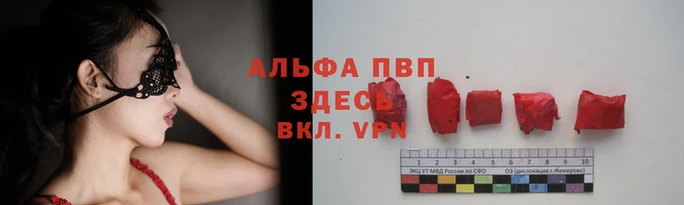 индика Волосово