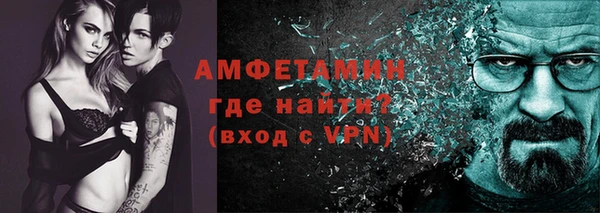 индика Волосово