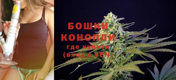 индика Волосово