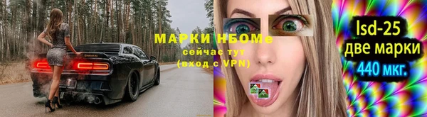 индика Волосово