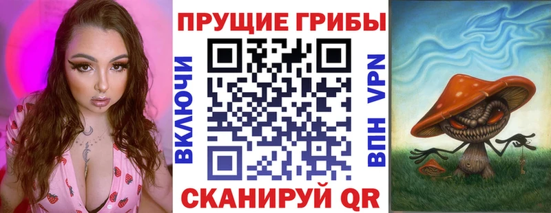 Псилоцибиновые грибы Psilocybe Славянск-на-Кубани